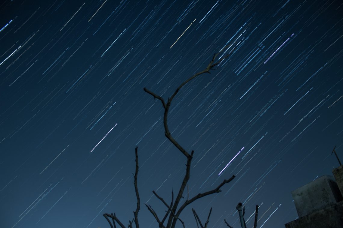 RadioMarocCulture Bare Tree Under The Night Blue Sky 3698910